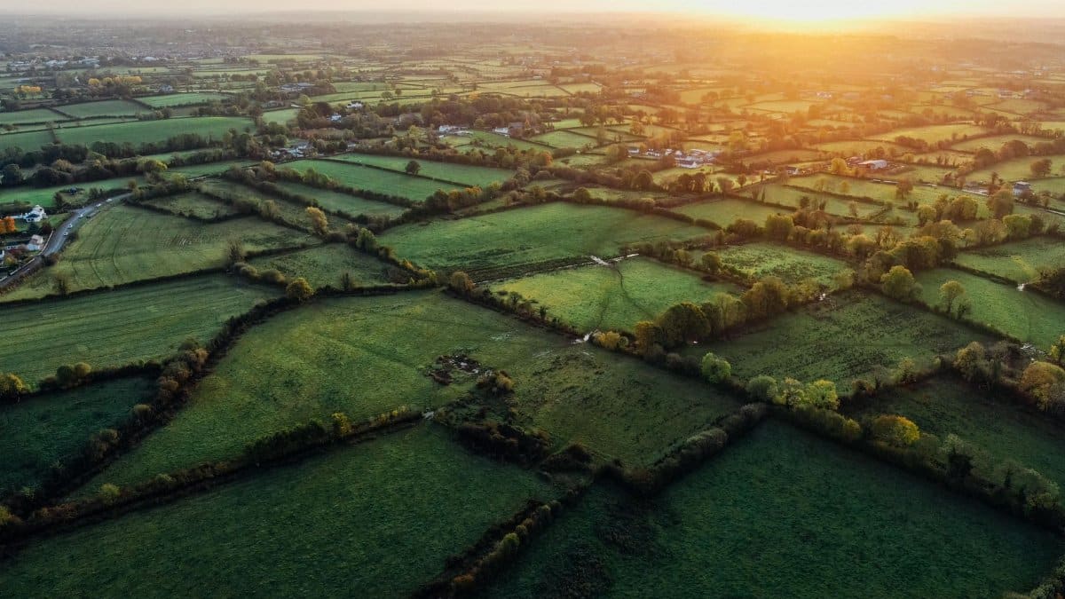 Stunning aerial view of lush countryside fields during a golden sunset, creating a serene atmosphere.