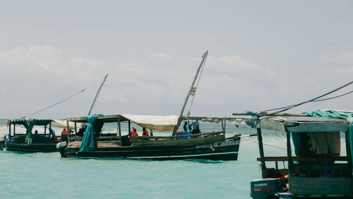 Traditional fishing boats in Mombasa harbor on a sunny day, showcasing local culture.