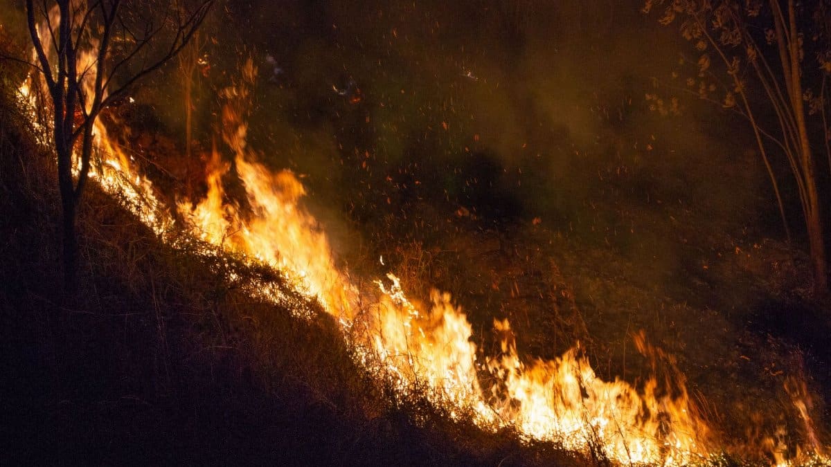 A dramatic night scene of a wildfire spreading through dry grass in São Paulo, Brazil.