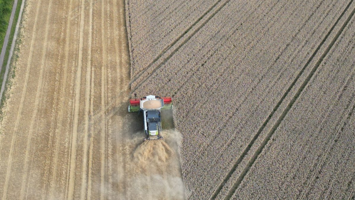 Drone captures a tractor harvesting wheat in a rural field in Sehnde, Germany.