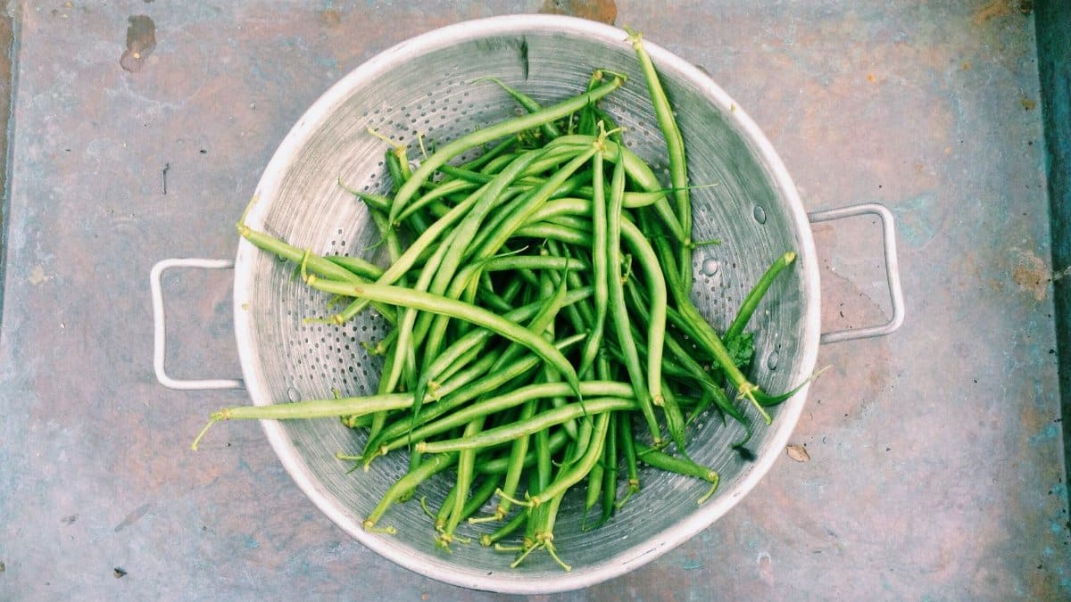 Top view of fresh green beans in a metal colander, ideal for food and healthy lifestyle themes.