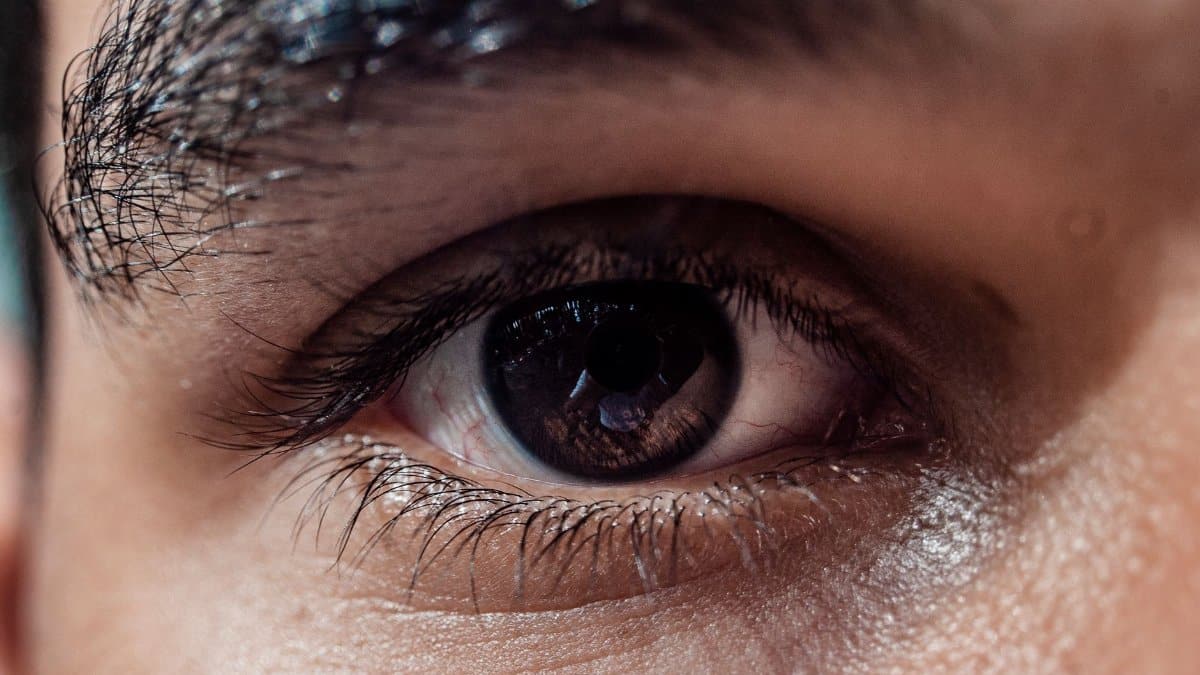 Detailed close-up image of a human eye emphasizing the iris and eyelashes.