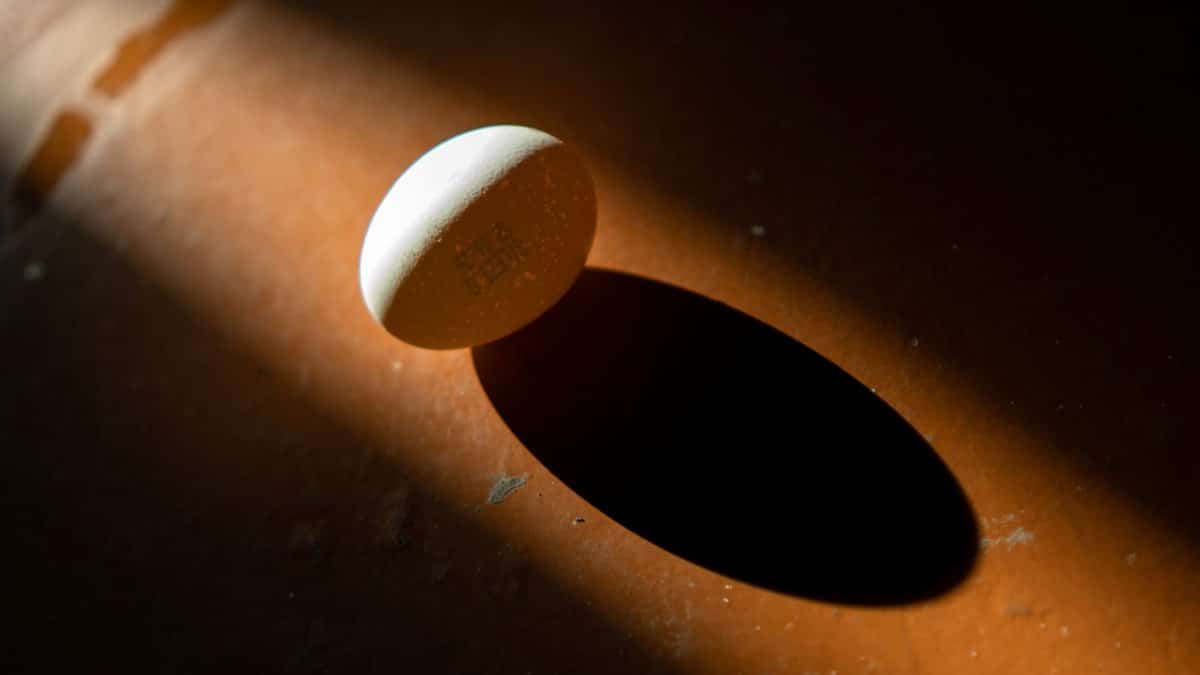 A brown egg casts a dramatic shadow on a textured orange surface with low-key lighting.