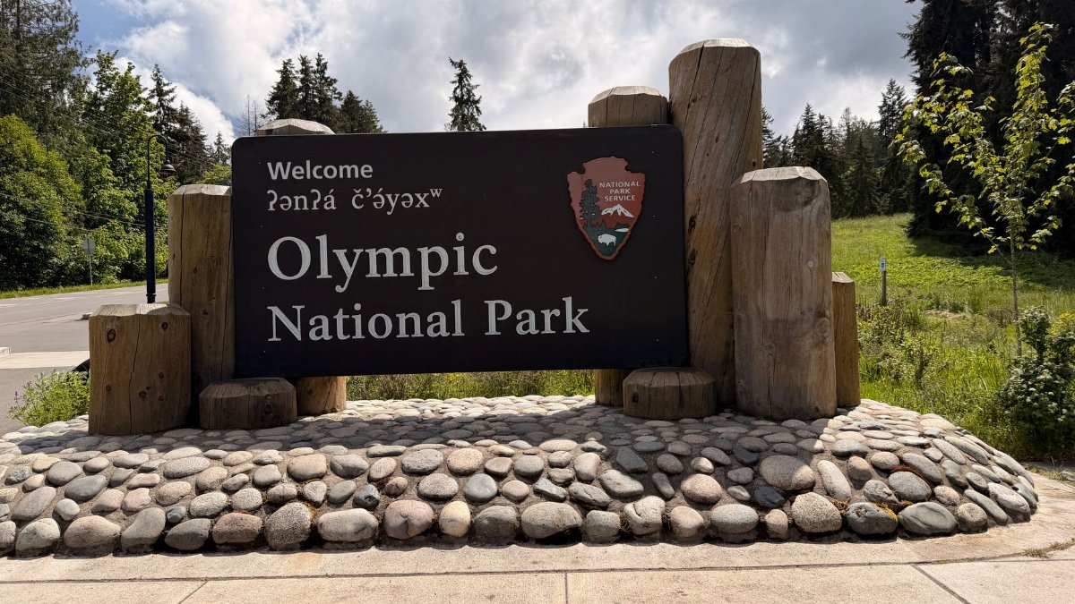Olympic National Park entrance sign amidst lush greenery on a sunny day.