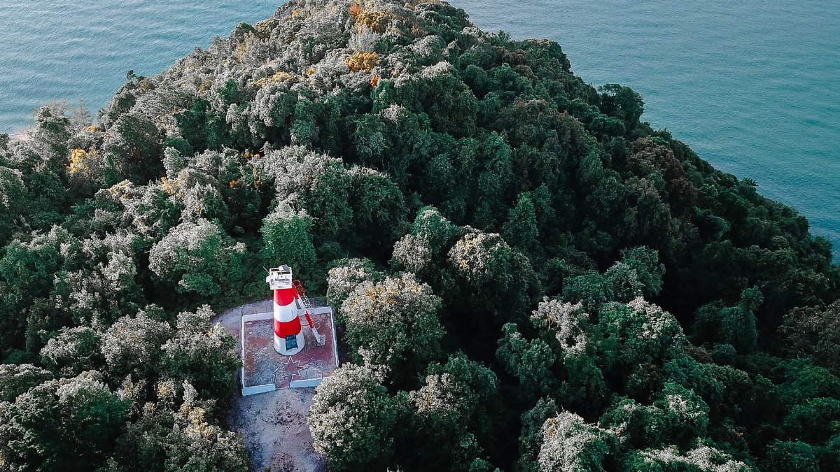 From above white and red lighthouse on top of hill covered with lush green trees against rippling sea