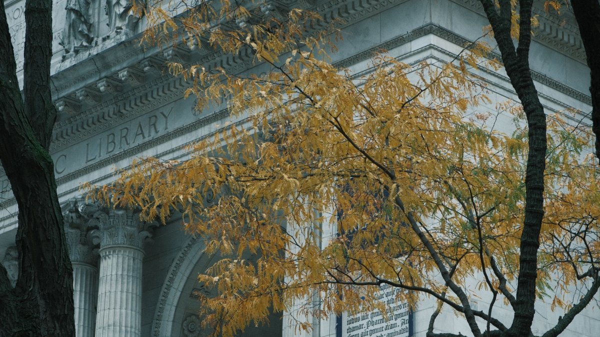 Autumn leaves framing the iconic New York Public Library facade.