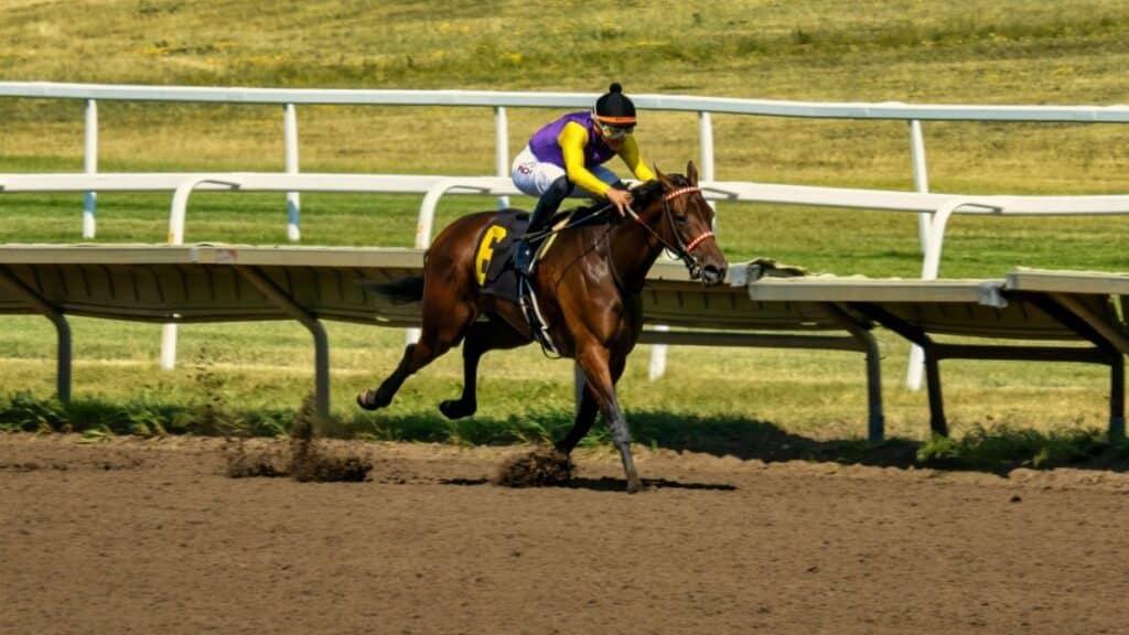 Dynamic shot of a horse race in Shakopee, MN, showcasing speed and competition