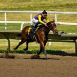 Dynamic shot of a horse race in Shakopee, MN, showcasing speed and competition