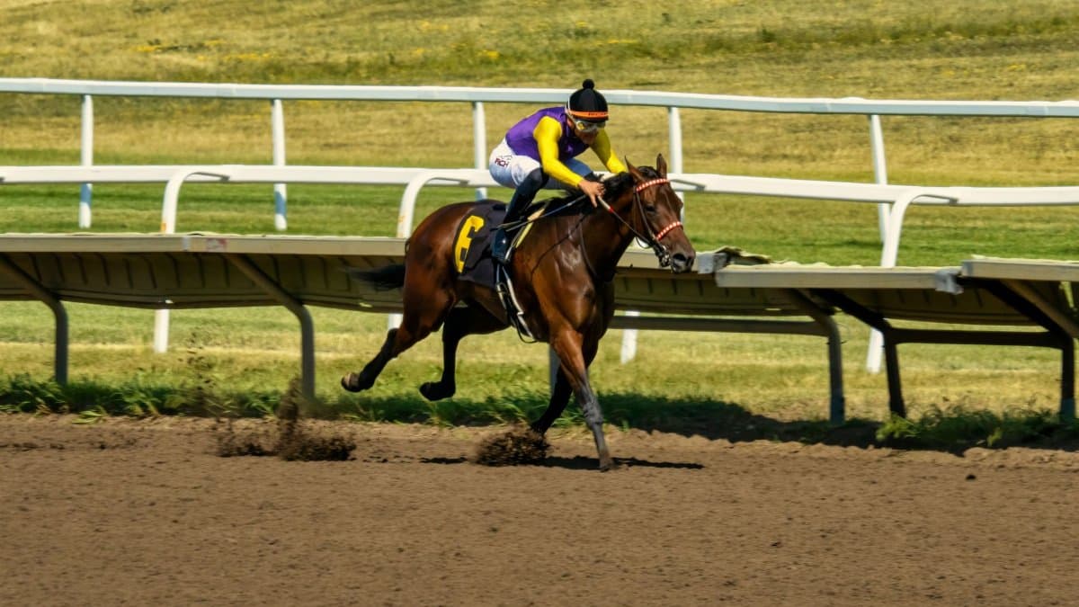 Dynamic shot of a horse race in Shakopee, MN, showcasing speed and competition
