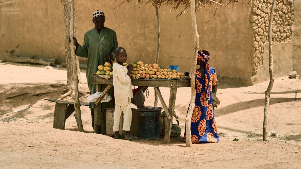 Local vendors at a fruit stand in Nigeria, showcasing daily life and culture.