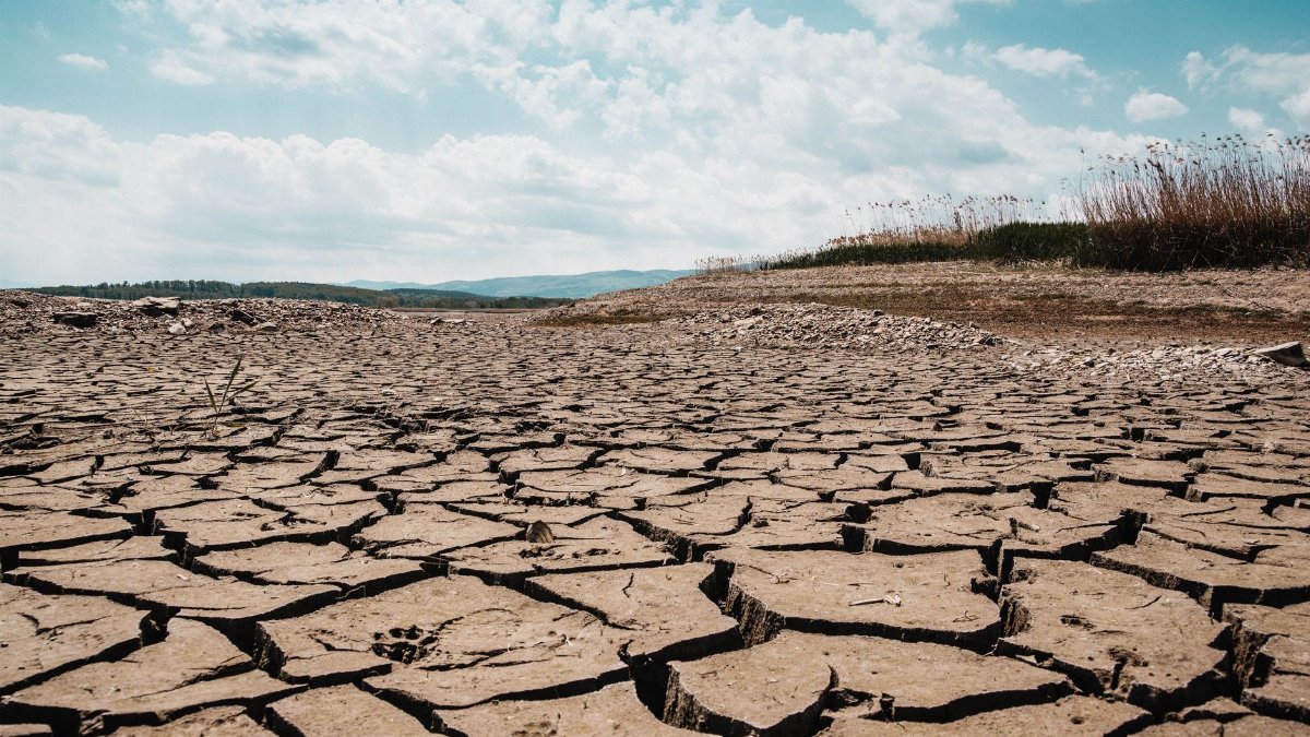 A stark landscape of cracked dry earth beneath a clear blue sky, depicting arid climate and drought.