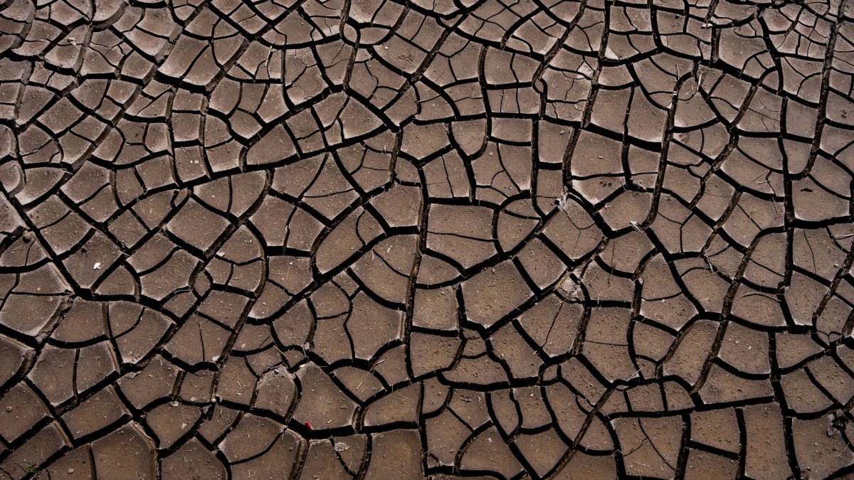 Close-up of cracked, parched earth symbolizing drought and climate change impact.