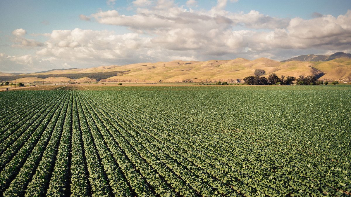 Stunning view of green fields and rolling hills in Santa Maria Valley, California under a bright sky.