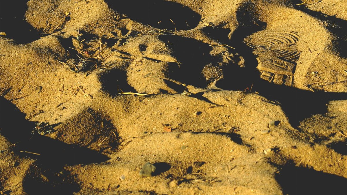 Detailed view of sandy terrain with visible footprint impressions casting shadows in sunlight.