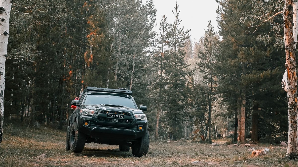 A black Toyota Tacoma pickup truck parked in a serene forest landscape.