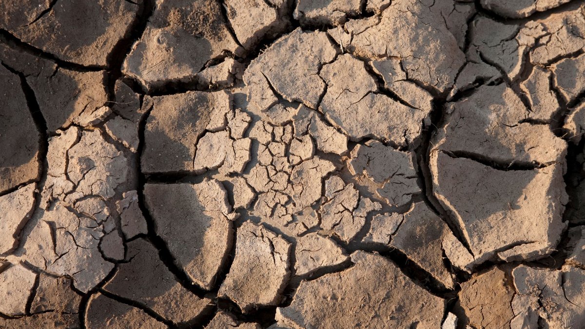 Top view of cracked dry earth representing severe drought and arid climate.