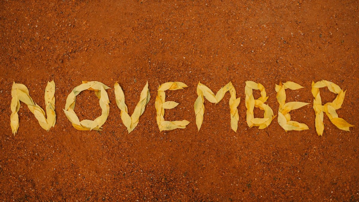 Yellow leaves spelling 'November' on red soil signify autumn's arrival.