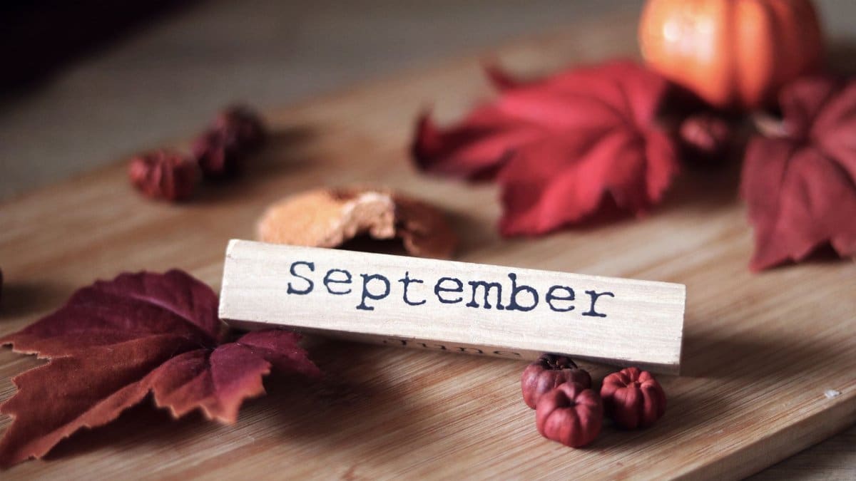Rustic autumn decor featuring September sign, vibrant leaves, and mini pumpkins.