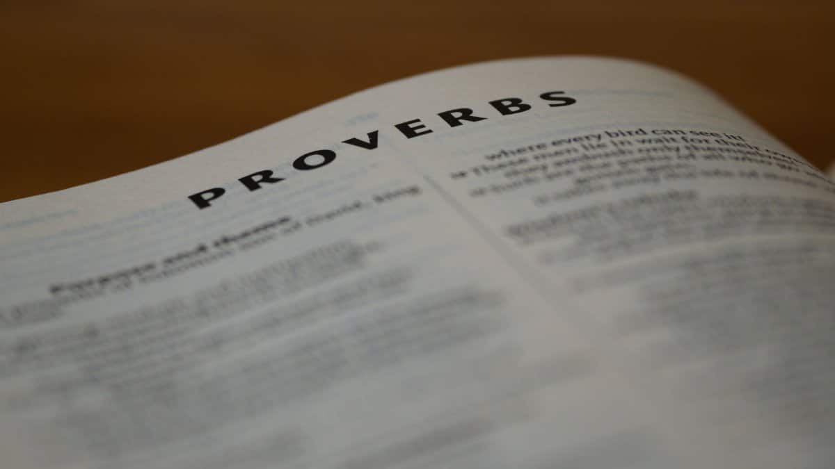 Detailed view of the Book of Proverbs page with blurred scripture.