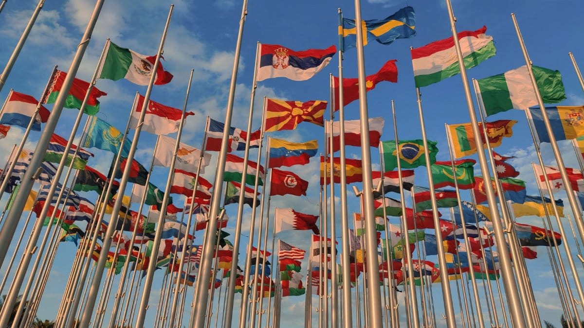 A diverse collection of national flags waving under a vibrant blue sky.