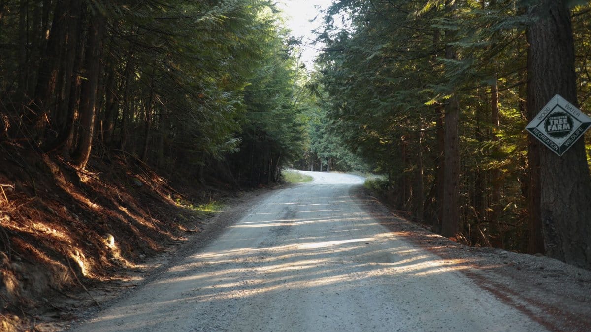 A peaceful dirt road through a dense forest with a sign for Sunrise Farm, captured at daybreak.