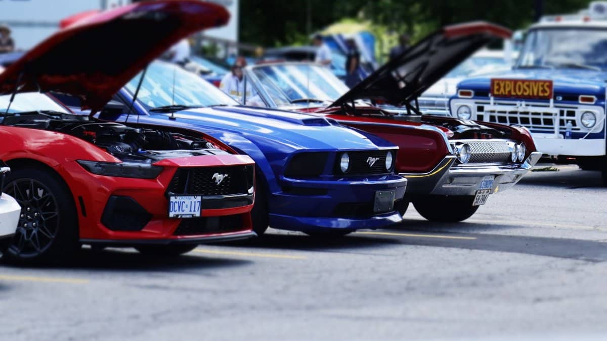 A vivid display of classic and modern cars at a Hamilton, Ontario car show, emphasizing vehicle diversity and design.
