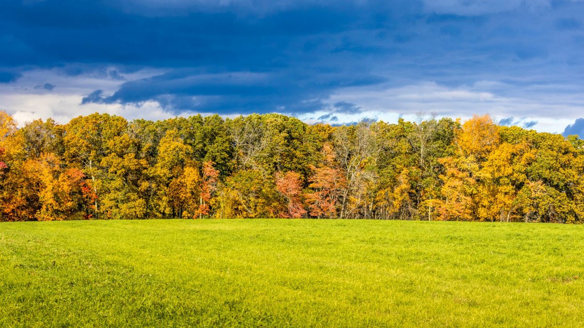 Capture of vibrant autumn trees and lush green grass in Grafton, MA under a dramatic cloudy sky.