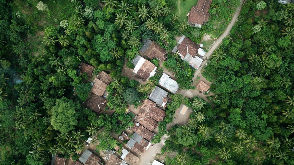 Aerial view capturing a lush green rural village surrounded by dense vegetation, depicting a serene and natural environment.