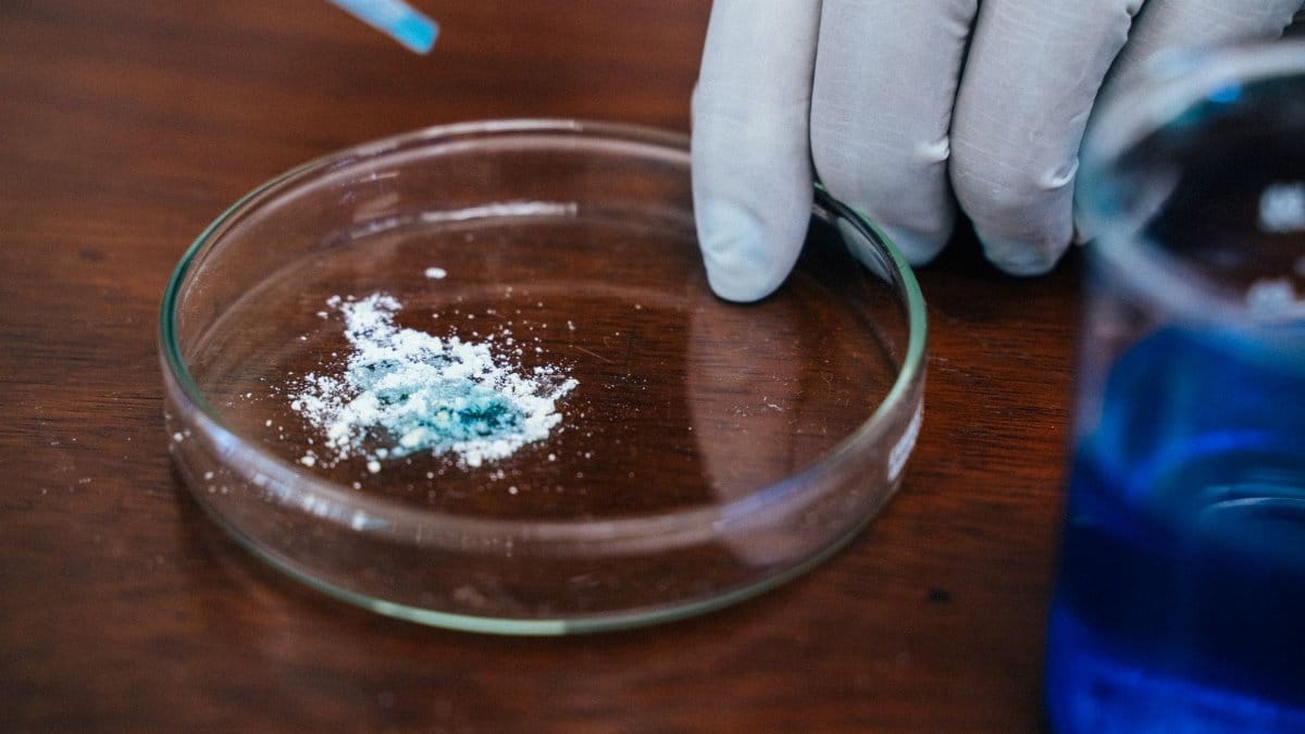 A close-up view of a scientist's hand conducting an experiment in a laboratory setting with a Petri dish.