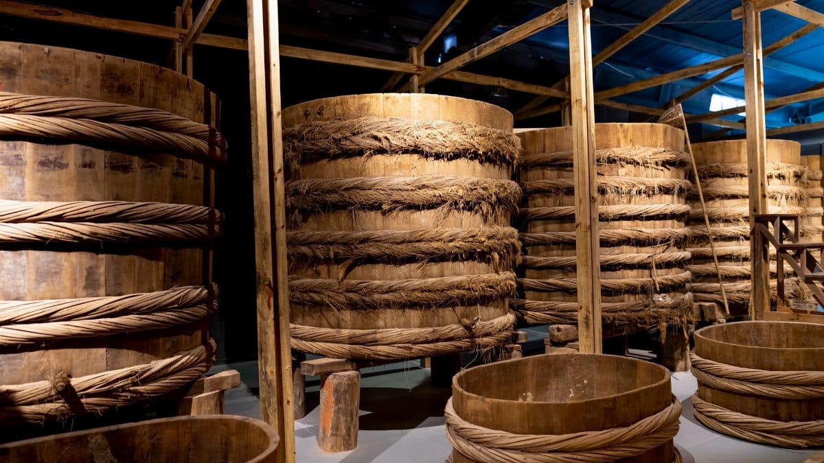 Fish sauce fermenting in wooden large barrels placed in row in local manufacture factory