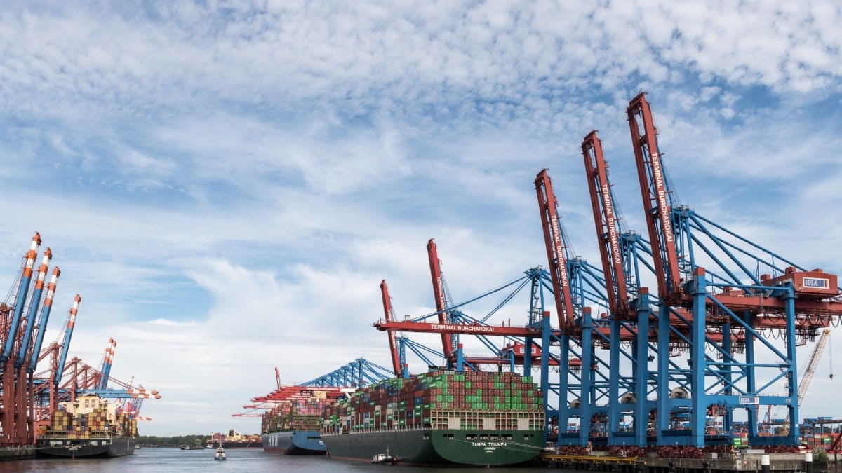 View of container ships and cranes at Hamburg Port, highlighting global trade.