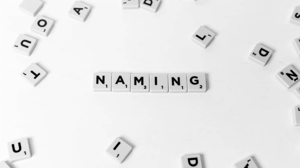 Flat lay of scattered Scrabble tiles spelling 'NAMING' on a white background.