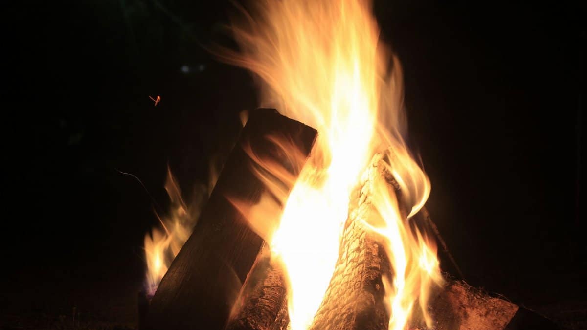 A burning bonfire set against the dark night sky creates a warm glow.