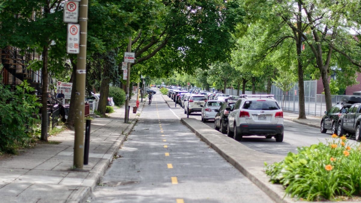City street with cars parked alongside a bike lane under a canopy of green trees.