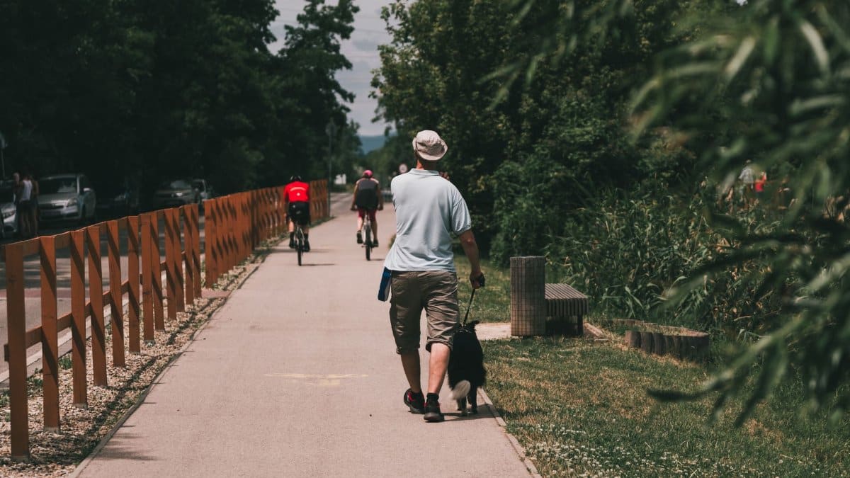 A man walks his dog along a scenic bike path with cyclists in a lush, green setting.