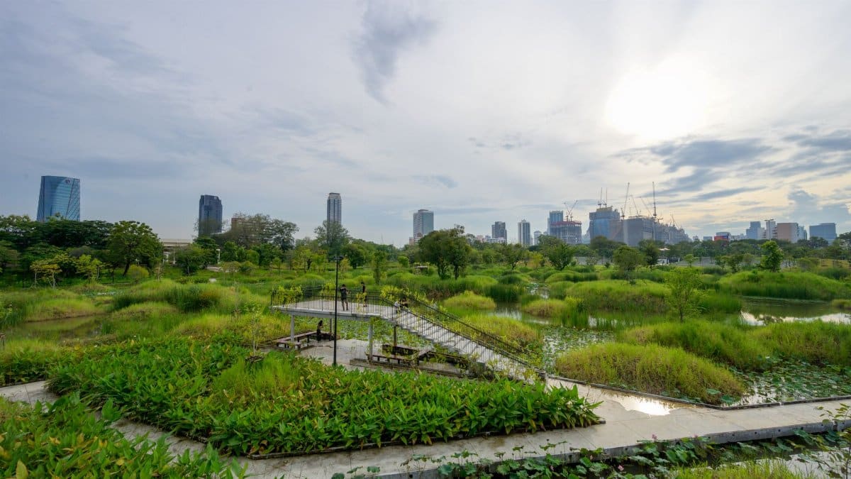 Lush urban wetland park with city skyline in the background during sunset.