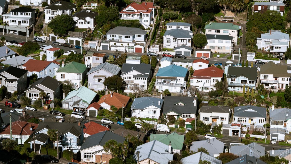 Aerial view showcasing vibrant suburban housing in Wellington, New Zealand.