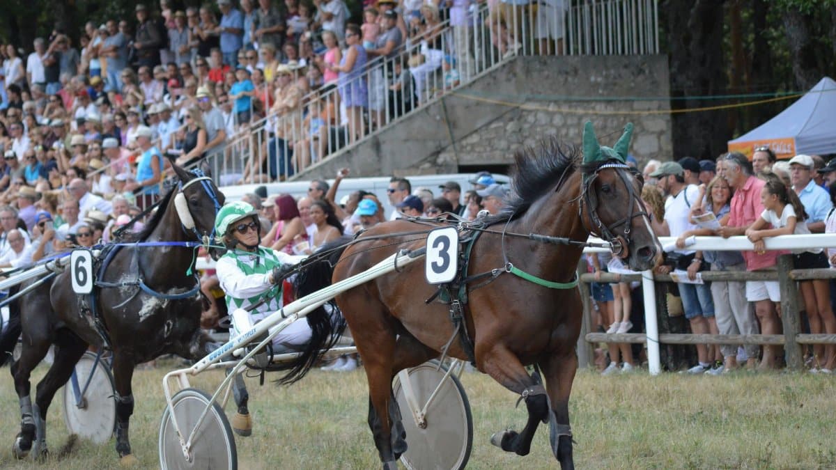 Dynamic capture of a harness horse race with enthusiastic spectators in the background during a summer day.
