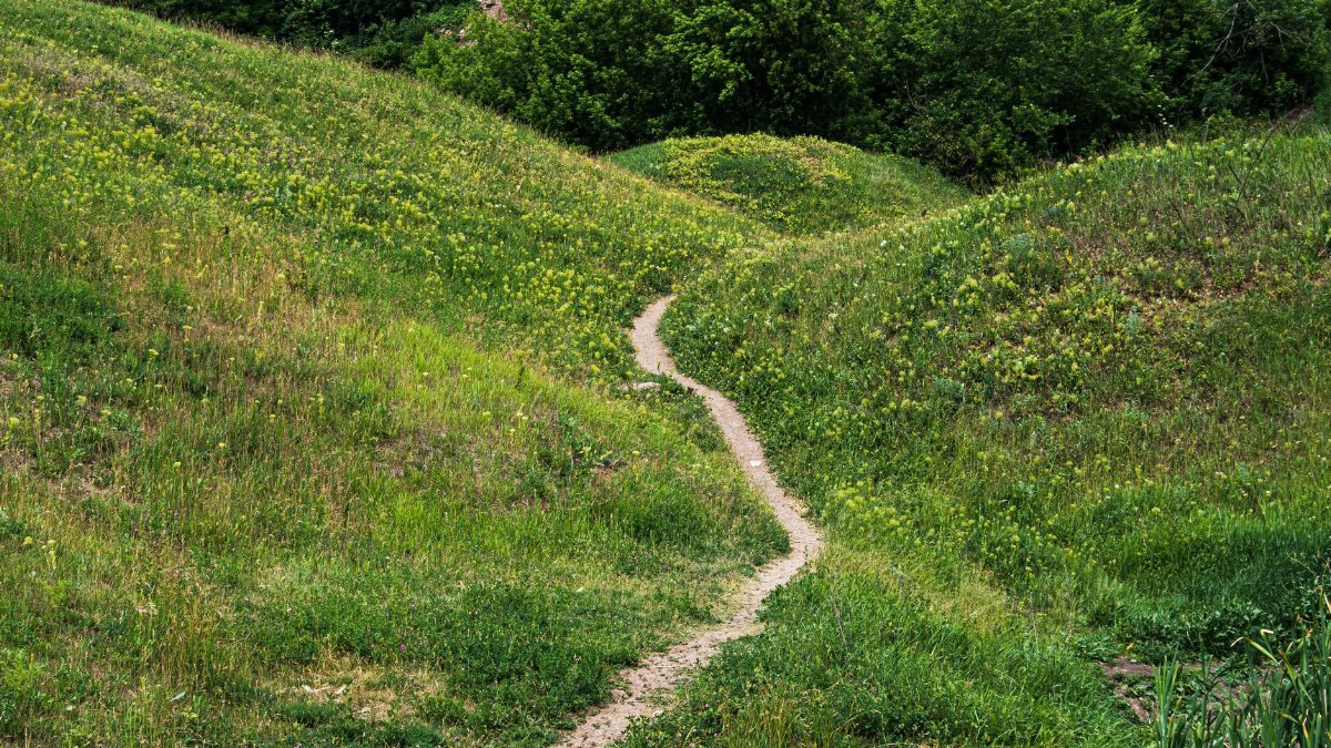 A serene landscape featuring a winding path through green rolling hills, perfect for a nature retreat.