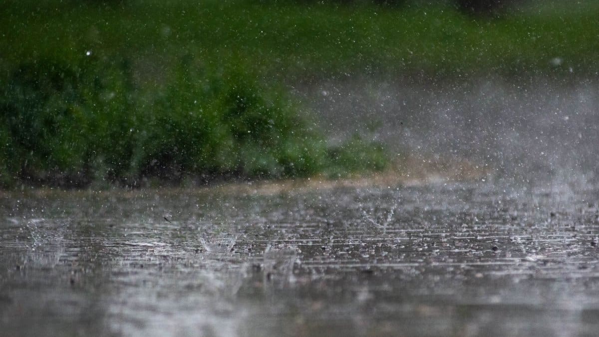 Close-up of heavy rainfall splattering on outdoor pavement with green foliage in the background.