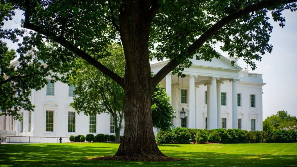 A view of the White House with lush greenery on a summer day, featuring a prominent tree.