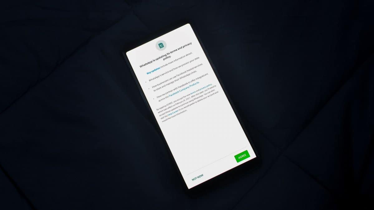 Close-up of smartphone screen showing a privacy policy update agreement.