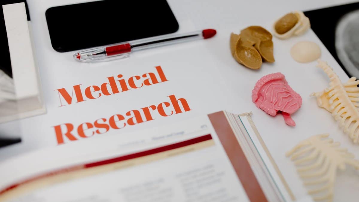 Flat lay of medical research tools and anatomical models on a desk.