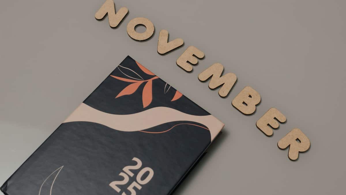 Aesthetic 2025 planner with November wooden letters and modern abstract design, perfect for planning.