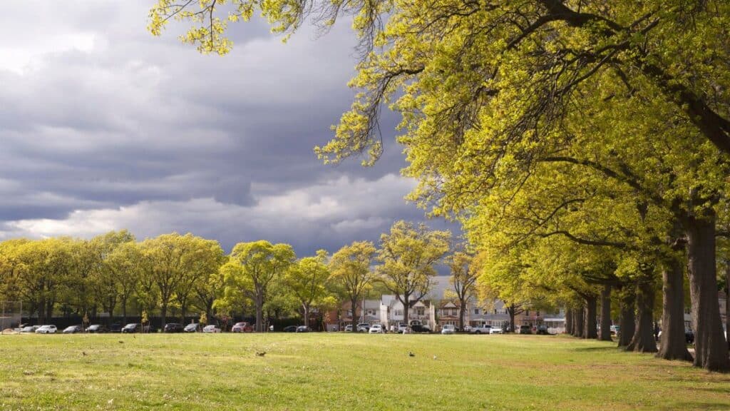A picturesque view of a park with trees and cloudy sky in New York City.