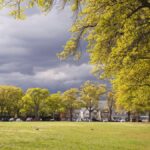 A picturesque view of a park with trees and cloudy sky in New York City.