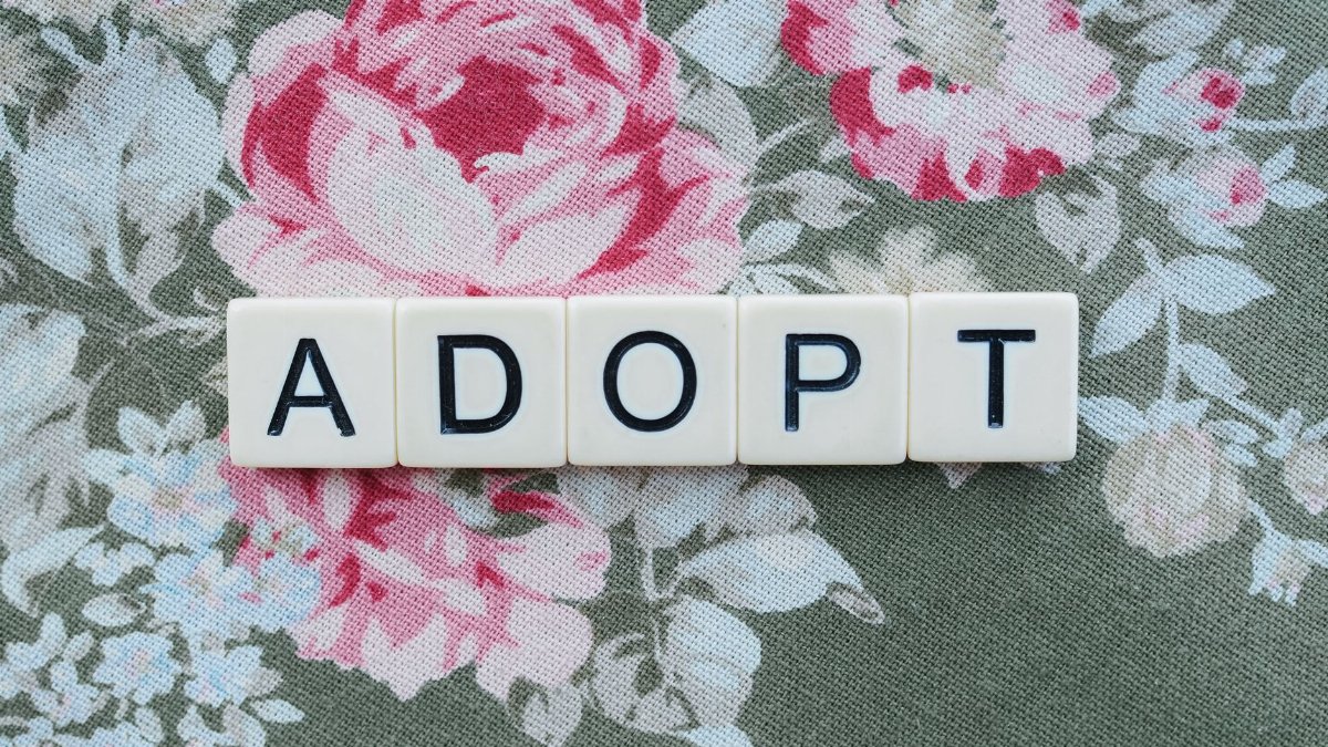 Top view of letter tiles spelling 'ADOPT' on a floral fabric background, symbolizing adoption.