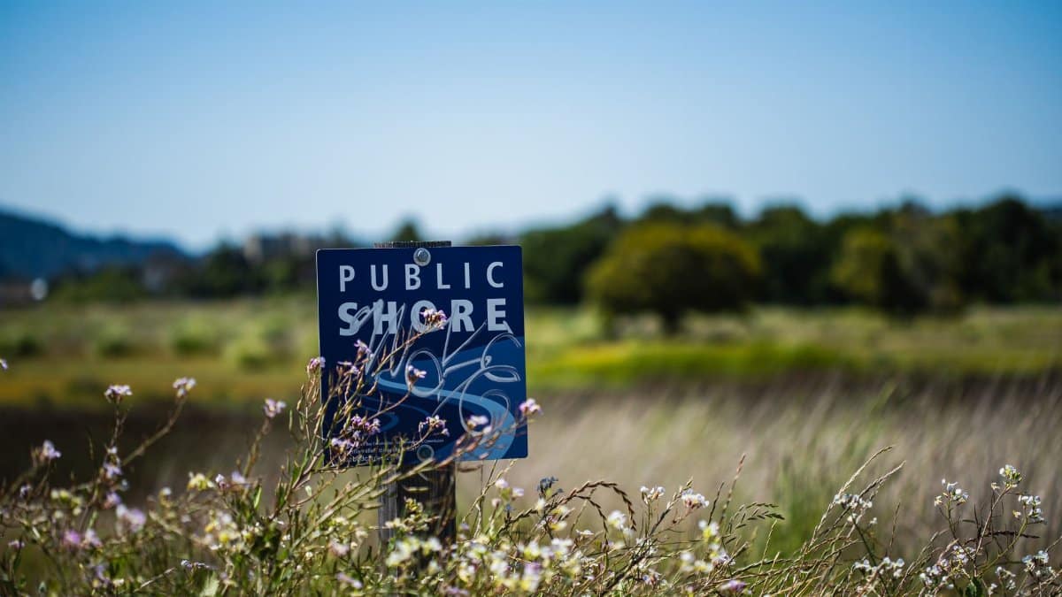 Public shore sign amidst blooming wildflowers in a tranquil rural meadow.