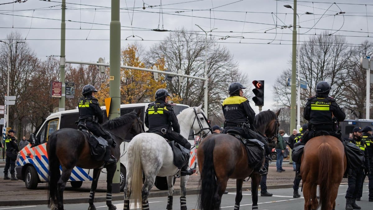 Police officers on horseback patrol a city road, ensuring public safety.