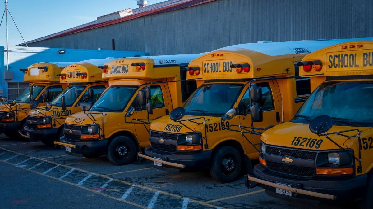 A line of yellow school buses parked outside a building during the day.